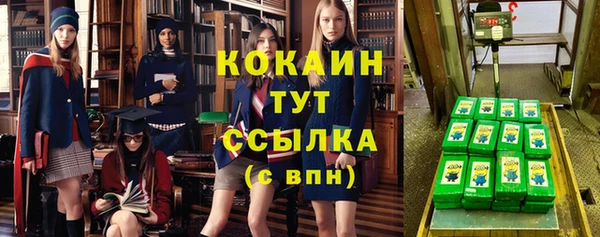 МДПВ Нефтегорск