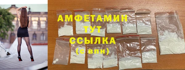 СК Новозыбков