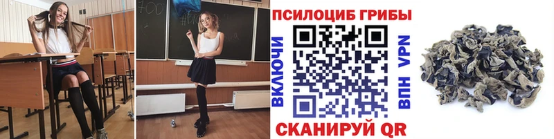 Псилоцибиновые грибы Psilocybe  Красный Сулин 