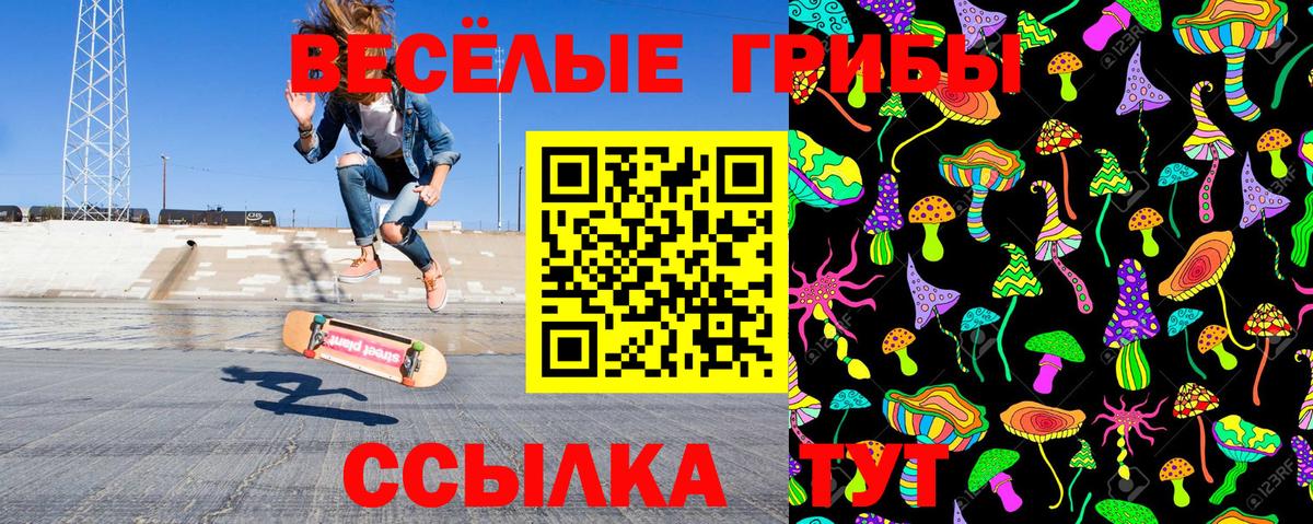 Галлюциногенные грибы прущие грибы  Вход с VPN  Красный Сулин 
