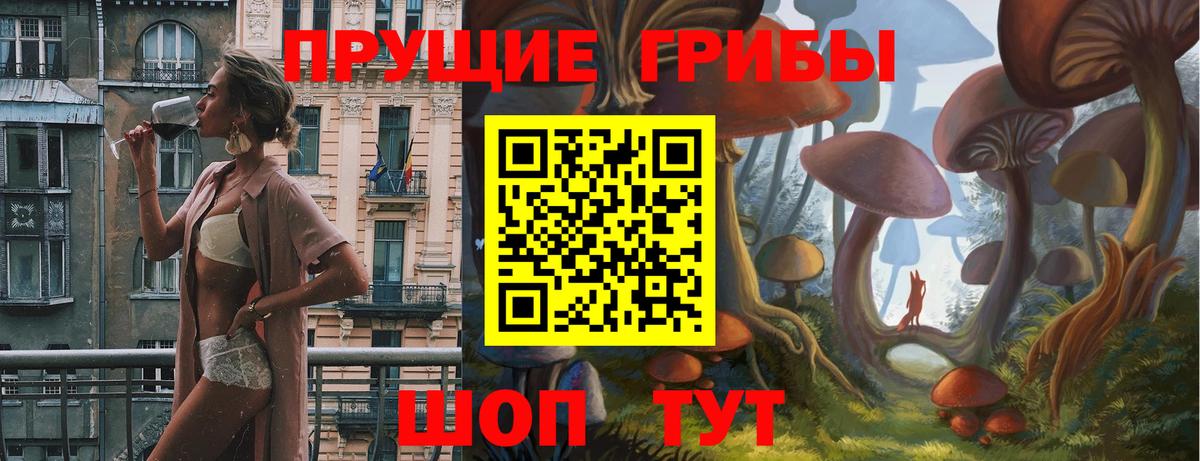 Галлюциногенные грибы мухоморы  Галлюциногенные грибы Psilocybine cubensis  Красный Сулин 